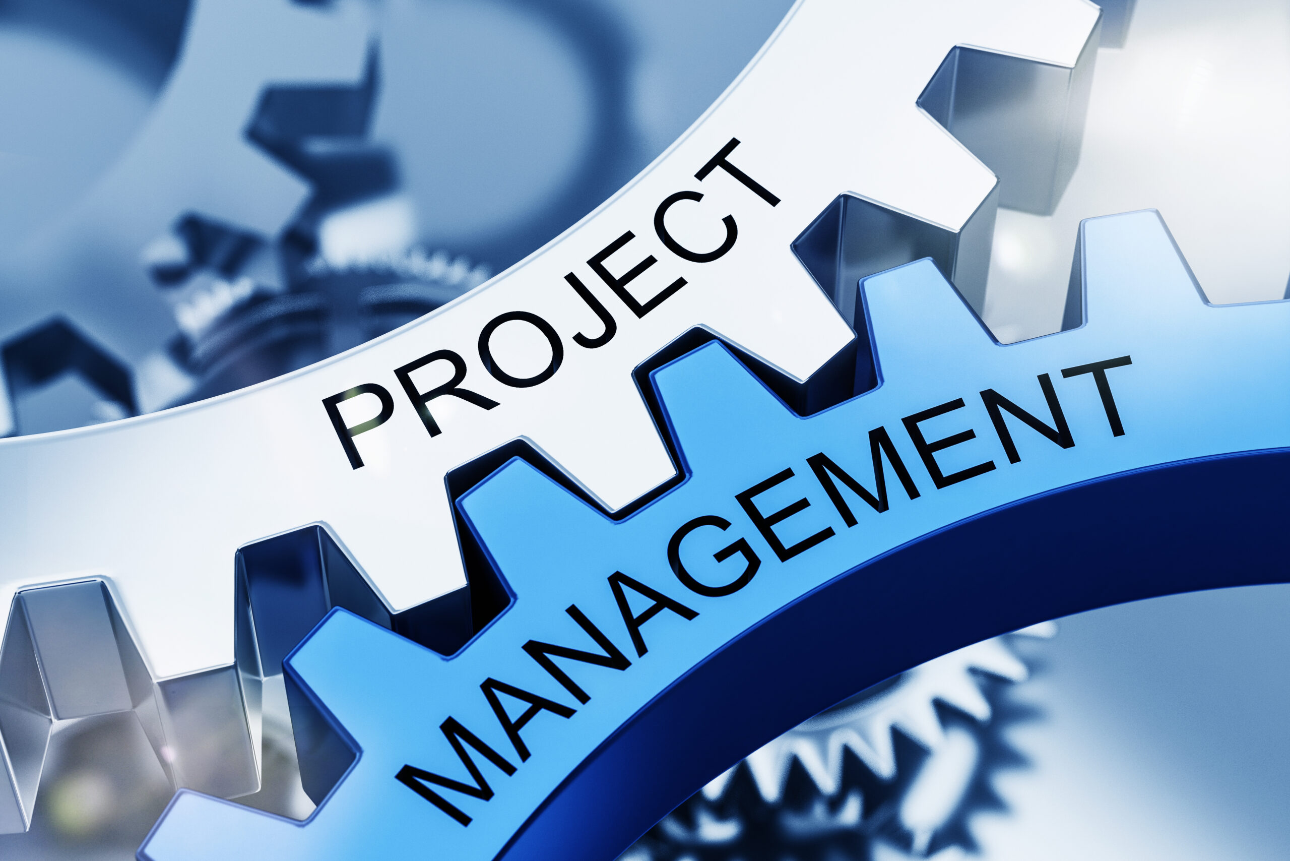 Project Management Basics: Building Blocks for Success